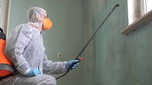 Asbestos and Lead Testing During Mold Inspection in Franklin, LA