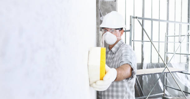 Best Post-Construction Mold Inspection  in Franklin, LA