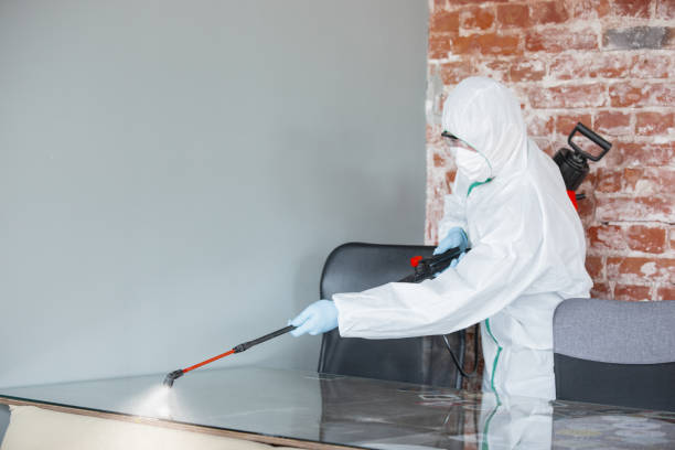 Mold Remediation for Vacation Homes in Franklin, LA